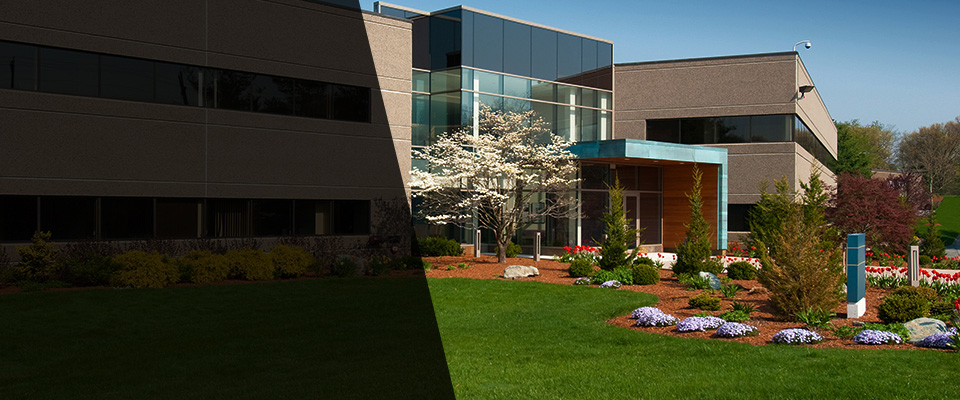 Fuquay Varina Landscapers