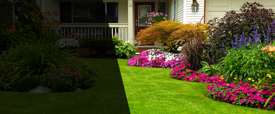 Fuquay Varina Landscapers