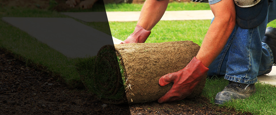 Fuquay Varina Landscapers